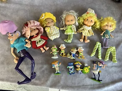 Strawberry Shortcake Miniatures Doll Vintage  Lot Of 14 Figures 1983 • $60