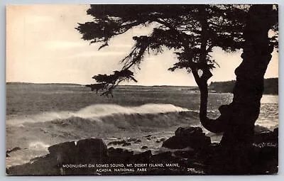 Mt Desert Island Maine~Moonlight On Somes Sound @ Acadia Natl Park~Vtg Postcard • $3.70