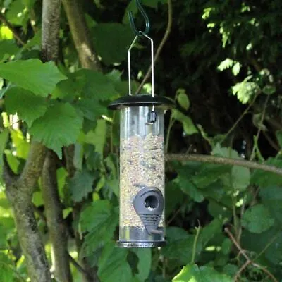 £6.99 • Buy Hanging Wild Bird Seed Feeder Nut Fat Ball Garden Feeding Station Plastic Perch