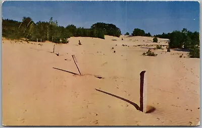 Original Stone Boundary Line Desert Freeport Maine Postcard T274 • $4.99