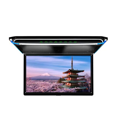 10.1  Car Roof Monitor Overhead Video HD Flip Down TV For Car • $105