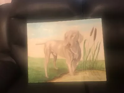£25.99 • Buy Hunting Dog Oil Canvas Painting