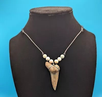 Large Rare Florida Eocene Mako Shark Tooth Handmade Adjustable Necklace • $30