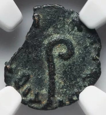 NGC Ch F FINE Pontius Pilate Judaea Authentic Jesus Bible Coin 26-36 AD Prutah • $149.99