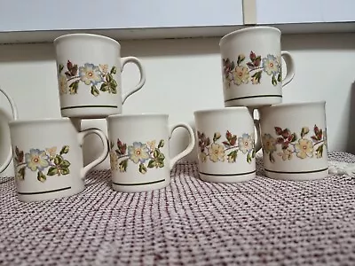 6 X Vintage Marks & Spencer Autumn Leaves??? Taller Coffee Mugs VGC • £19.99