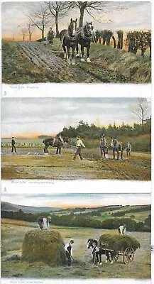£3.99 • Buy Lot Of 3 Vintage Postcard,horse,rural Life,ploughing,hayfield,harrowing,sowing