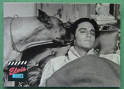 Elvis Presley 1992 Movies #89 Card Live A Little Love A Little • $0.99