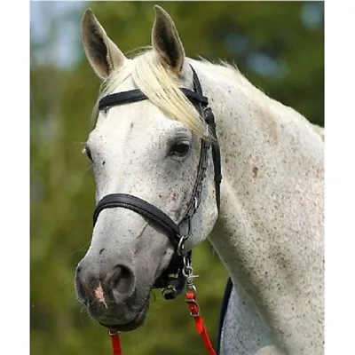 £89.95 • Buy Zilco Synthetic Sidepull Bitless Bridle 