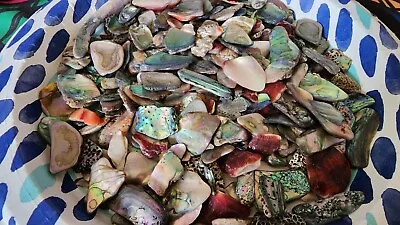 Polished Red Abalone Shell Pieces: Small To Medium Sizes 1/4 Lb Bag • $20