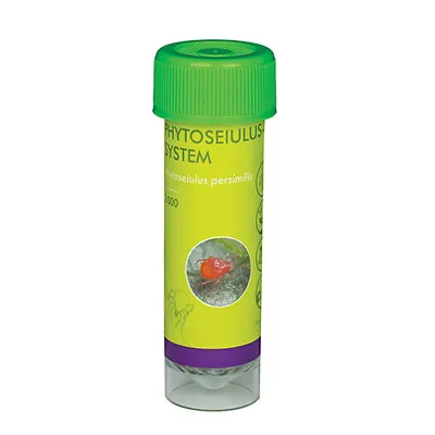 £25 • Buy Two-spotted Spider Mite Killer [Phytoseiulus-System]