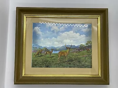 Vintage Foil Pictures Framed F.  Osbourne Whitetail Deer Buck • $24.99