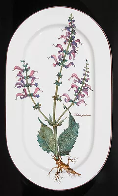 Villeroy & Boch Botanica Series Salvia Pratensis Serving Platter 15 1/4  • $32