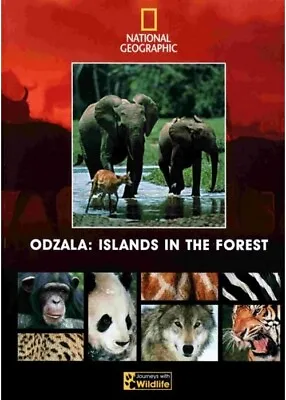 National Geographic: Odzala: Islands In The Forest (DVD 2004) • £1.79