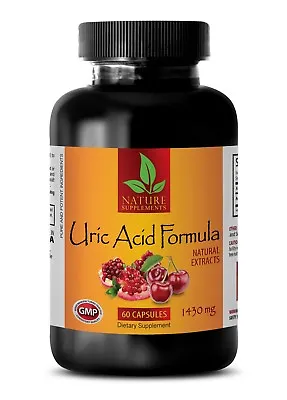 Antioxidant Supplement - URIC ACID FORMULA - Urinary Tract Health - 1 Bottle • $18.45