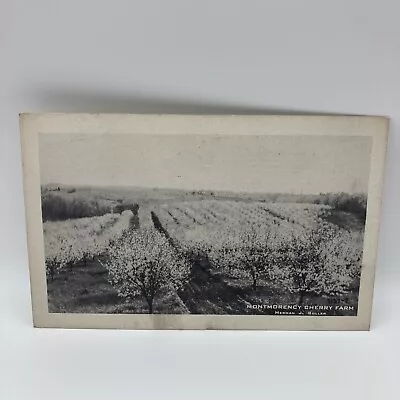 Vintage Postcard Zanesville OH-Ohio Herman Soller Farm Montmorency Cherry Farm • $2.54