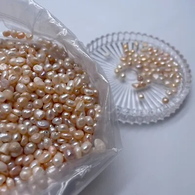 Genuine Natural Freshwater Pearls Ivory Jewellery Making Loose Crafting 5 - 9mm • £3.99