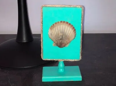 New! Beachy Table Home Decor Wood Framed Scallop Sea Shell W Nautical Rope • £17.36