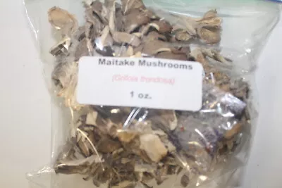 1 Oz. Maitake MUSHROOM (Grifola Frondosa) • $4.95