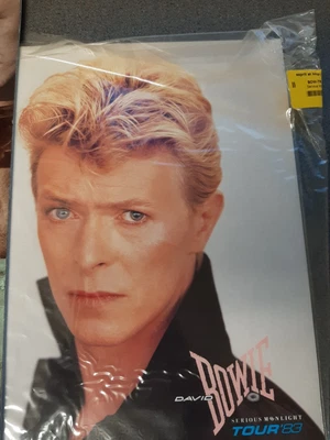 £19.91 • Buy 1983 David Bowie Serious Moonlight Tour Programme +1990 Nec 
