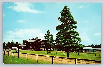 Moose River ME Sky Lodge & Motel Resort Vintage Maine Postcard  • $7.75