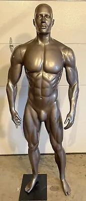 NIKE PRO Adult Male Glossy Gray Fiberglass Muscular Full Body Mannequin • $500