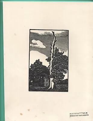 AUTHENTIC PRINT     BIG SYCAMORE    By   JJ LANKES (1884-1960) • $12.95