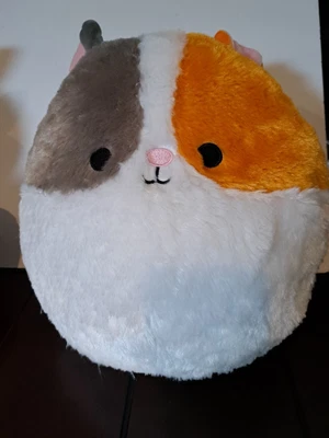 $25 • Buy Squishmallows 12  Everett Guinea Pig Fuzz A Mallow Pet Plush New Stuffed Pillow