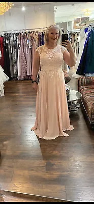 Mother Of Bride Madeline Gardner New York Gown Size 14 NWT • $145