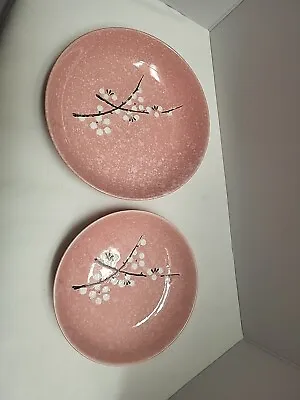  2 Pink  Plates Cherry Blossom • $28.99