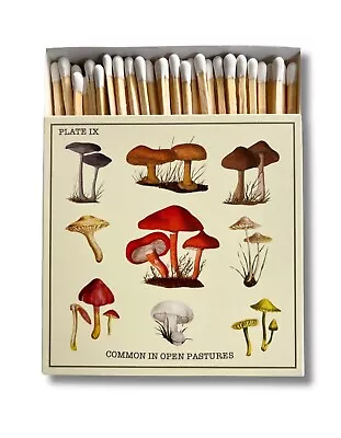 Curator Home Luxury Long Safety Matches I Mushrooms Design Square Matchbox • £8.49