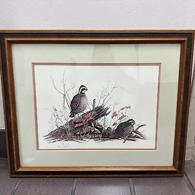 Vtg Limited Edition Signed John Lott Bobwhite Quail Bird Print 229/500 • $23.90