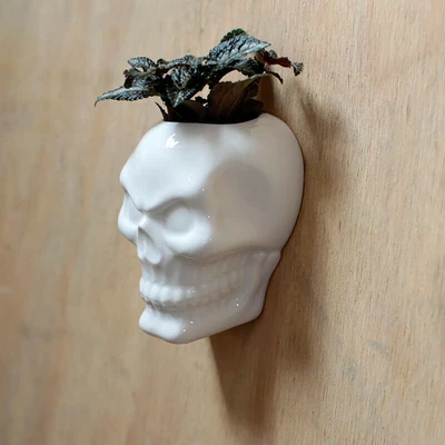 £8.99 • Buy 12 X 8 Cm Decorative White Ceramic Indoor Planting Wall Mounted Planter - Skull