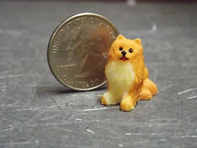 Dollhouse Miniature Dog Puppy Pomeranian 1:12 One Inch Scale E196 Dollys Gallery • $8.99