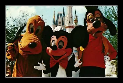 Mickey Mouse Pluto And Goofy Walt Disney World Postcard • $0.35