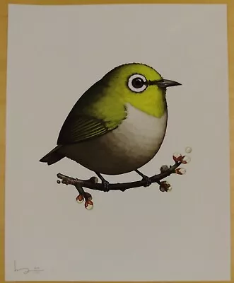  Japanese White-Eye  Art Print By Mike Mitchell 1st Edition 2016 Fat Bird • $179