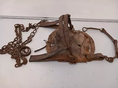 Vintage Antique Primitive Animal Bear Wolf Trap Hand Forged Chain Rusty Balkan • $125