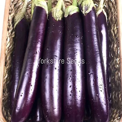 300x Organic Aubergine Long Purple Seeds - Vegetable • £2.29