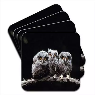 £4.99 • Buy Owls Set Of 4 Coasters