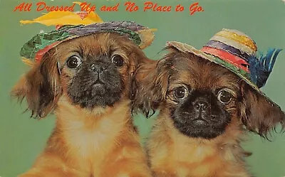 Pekingese Dogs Puppy Puppies Straw Hats Cute Darling Animal Vtg Postcard T9 • $3.95