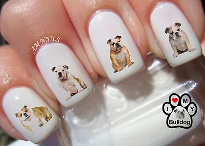 English Bulldog Nail Art Stickers Transfers Decals Set Of 58 - A1297 • $4.50