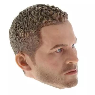 1/6 Scale Male Movie Star Head Sculpt With Hair Paul For Action Figures • £26.24