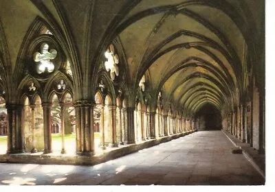 Salisbury Cathedral - The Cloister Walk Colour Postcard • £1.20