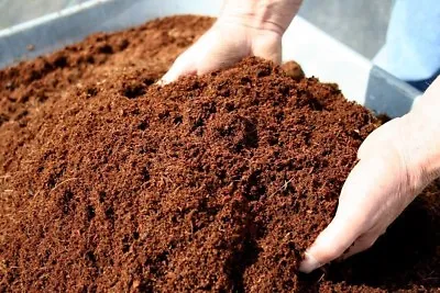 Coconut Coir Coco Peat Compost Cocopeat Fibre Pith Organic Soil Block Low EC • £6.99