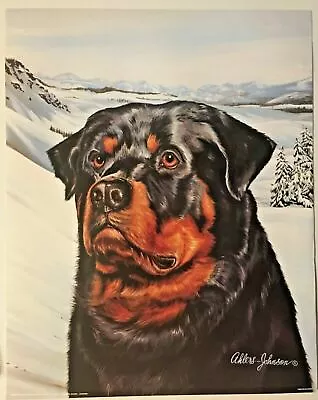 Rottweiler Poster Print Lithograph Dog Impact #20102 Wall Love Vintage New 1993 • $11.99