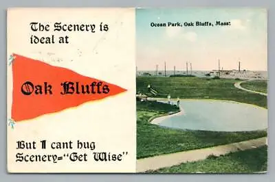 Oak Bluffs Massachusetts  Ideal Scenery  Antique Martha's Vineyard Postcard 1914 • $12.99