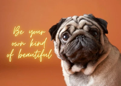 £9.99 • Buy Be Your Own Kind Of Beautiful PUG Poster A2 A3 & A4 High Q Funny Fun Cute Print 