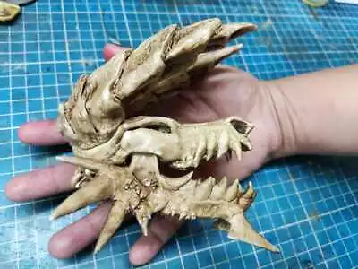 Zinogre Skull  Monster Hunter  • $37