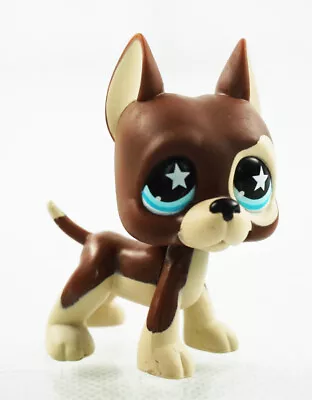 2.3'' Chocolate Dane Dog Star Eyes LPS #817 Littlest Pet Shop Kids Toys Edition • £10.99