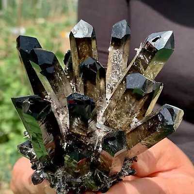 300g+ New Find Smoky Quartz Crystal Cluster Mineral Specimen Energy Healing • $38.95