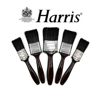 Harris 5 Piece Paint Brush Set Professional Decorating Pure Bristle DIY Brushes • £9.99